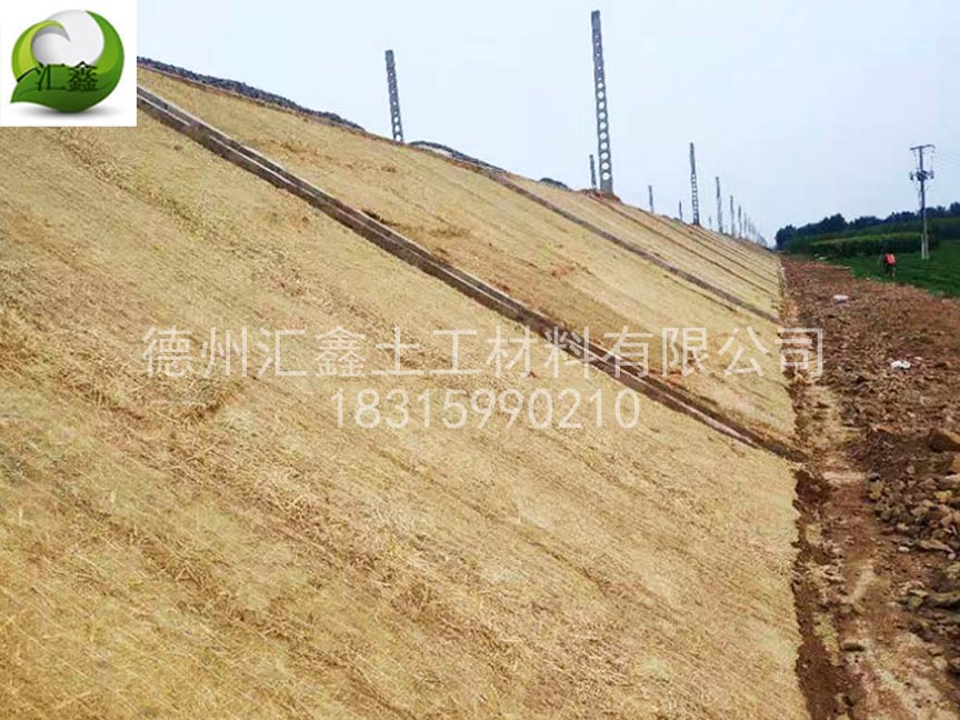 護(hù)坡草毯